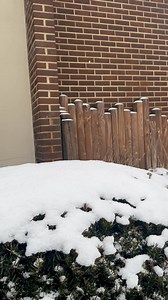 WVVA will keep you up to date on the latest forecast and weather changes. See the latest weather news, alerts and more here: https://www.wvva.com/weather/ | WVVA News