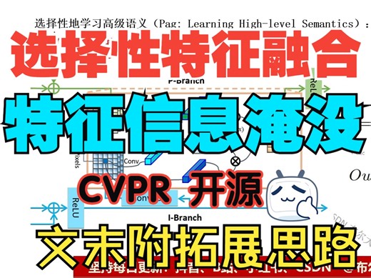 原理代码讲解|选择性特征融合 CVPR 缓解细节特征丢失 图像领域通用【V1代码讲解035】