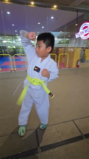 Yellowbelt Taekwondo Forms ATA
