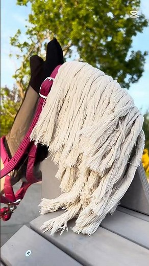 evening groundwork training #horse #equestrian #woodenhorse #drewnianykoń #pony