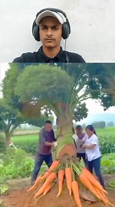 The biggest vegetables grown in these countries । #shortsfeed #reelschallenge #viralshorts #knowledge #facts #factsdaily #vagetable | JM virtual