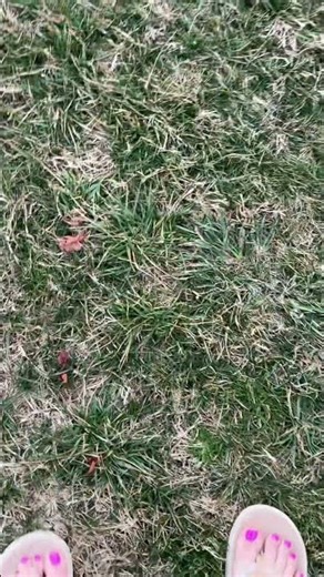 These Hey Dude Tide Flip Flops are the definition of throw-on-and-go comfort