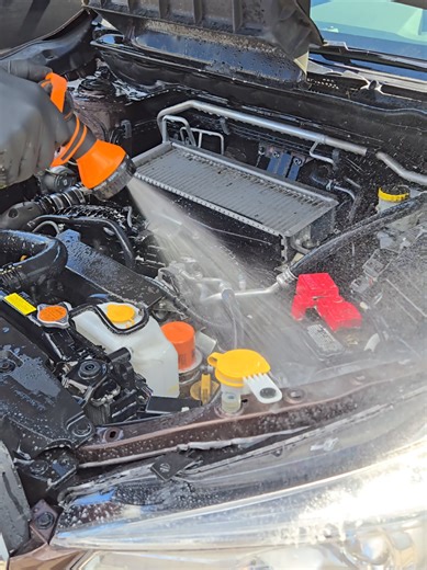 No Touch X-Treme Engine Bay Cleaner & DDE for the ultimate cleaning and detail on your Engine Bay ✨ Our No Touch Engine Bay Cleaner is a heavy duty cleaner able to rinse away the grime and grease away with out needing any scrubbing! Simply spray and rinse 💦 Our DDE adds a high luster shine to engine bay components, plastics and rubber surfaces using a water based dressing for the ultimate shine 🌟 ✅ No Touching ✅ No Scrubbing ✅ No Harsh Brushes ✅ No Wiping ✅ Easy and Quick to Use Dura-coating. 