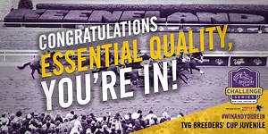 42K views · 851 reactions | REPLAY: Essential Quality had a decisive victory in the Claiborne Breeders' Futurity (G1) at Keeneland, stamping his ticket to the TVG Breeders' Cup Juvenile Presented by Thoroughbred Aftercare Alliance on Future Stars Friday! Congrats to connections! Jockey: Luis Saez Trainer: Brad H. Cox Owner: Godolphin, LLC Breeder: Godolphin | Breeders' Cup World Championships | Facebook
