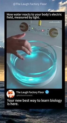 💧 Water reacts to your body’s 🫳 electric field 💡 light used to measure its response ⚡ | MDCT