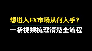 想要进入FX市场却不知从何入手？一条视频梳理清楚做FX入门全流程