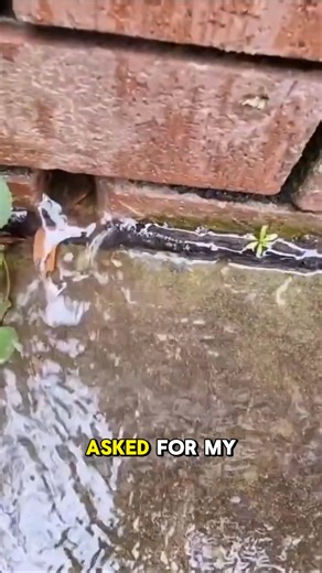 1.5K views | Expensive Basement Waterproofing is becoming a thing of the past: The Cost of Basement Waterproofing Services Might Surprise You. Just fill out the form to check it out. | HomeBuddy.com | Facebook