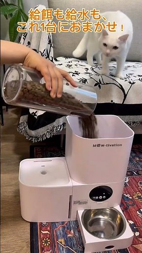 もう古い給餌器はいらない！新登場！ペット用一体型自動給餌＆給水機！大容量！循環式できれいなお水！密閉で湿気防止ペットライフ、100倍ラクに！😤#mewtivation#自動給餌器#自動給水器＃一体型