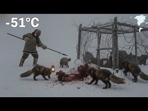 Greenland Frontier: A Life Beyond Civilisation