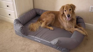Tired of cheap dog bed? The PupLounge Memory Foam Bed is guaranteed not to flatten for 10 years! � (TODAY - 60% OFF w/ code: LOVE) | Paw.com