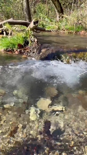 21 reactions | https://jeremydelaney.com/ #decorah #decorahiowa #Iowa #iowarealestate | Jeremy Delaney | Facebook