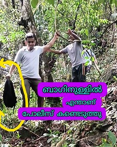 574K views · 6.4K reactions | മലയുടെ മുകളിൽ നിന്നും കിട്ടിയ...