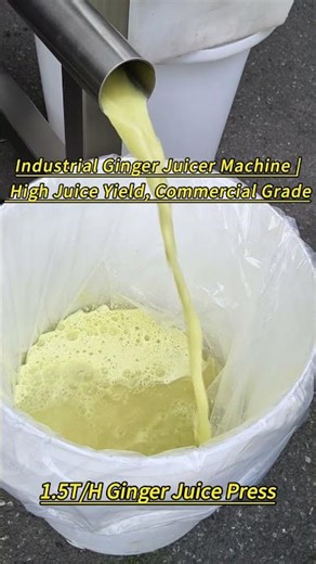 Industrial Ginger Juicer Machine | 1.5 Ton Per Hour High Juice Yield