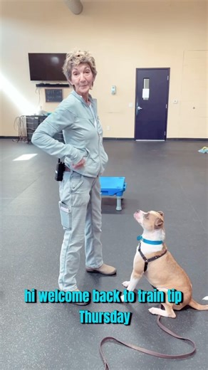 1.1K views · 26 reactions | Targeting is a way of training a dog to come to something without a lure. It has many uses, including repositioning them, recall, and introducing them to strangers. We will cover more on this next time! #TrainingTipThursday | Woods Humane Society | Facebook