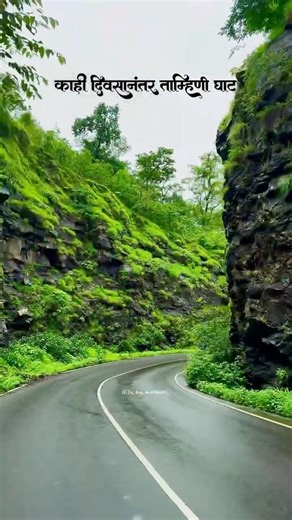 ताम्हिणी घाट आणि पाऊस जणू स्वर्गच..☔️⛈️🌱😍 #shorts #tamhinighat