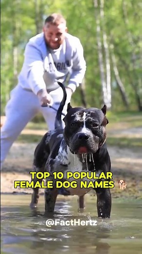 Top 10 Popular Female Dog Names 🐕 | स्त्री कुत्तों के प्रसिद्ध नाम 🐶