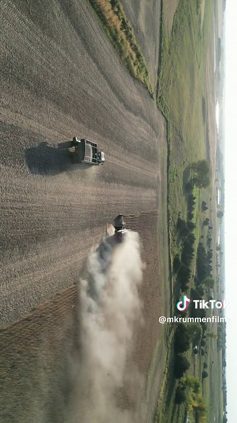 Bean Harvest 2025 Overview and Insights