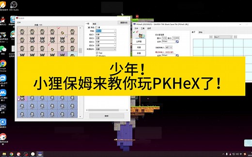 PKHeX不会用？保姆级教你最基本操作，够用了！