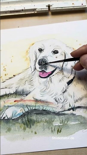 Dog watercolour paintings |AQUARELL Hunde #art #fellnase #watercolor