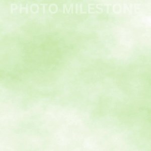 Dino Four Birthday Invitation: Roar Dinosaur Party (digital Download) - Etsy