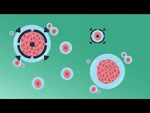 Understanding Chemotherapy: What Every Patient Should Know | On-Demand Education