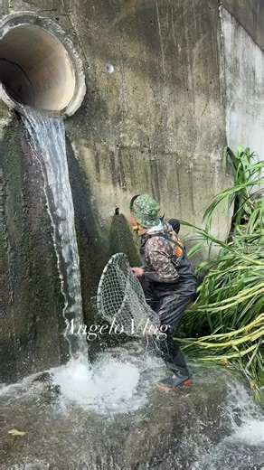 Every one it's real fishing🎣 #🇺🇸🇸🇻🇭🇳🇲🇽🇵🇦🇨🇴🇪🇨🇨🇱🇬🇹🇦🇷🇵🇪🇨🇷🇩🇴🇵🇷🇨🇺 #bigfish #viral_video #unfreezmyaccount