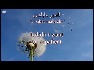 Cheikh El Afrit - Layam Kif Errih(Tunisian lyrics &English translation)|الشيخ العفريت-ليام كيف الريح