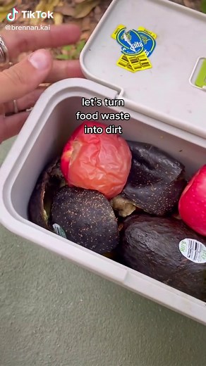 Transform Food Waste with Lomi Countertop Composter