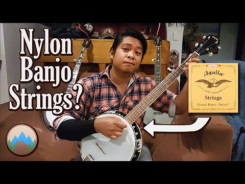You can put Nylgut strings on your 5 string Banjo