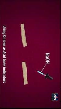 #Acids,Bases and Salts | Activity 2.2 (Practical) | Class10 science | CH- 2 | ncert #CBSE syllabus