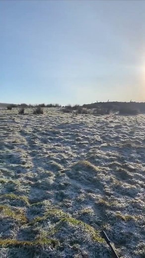 1.3K views | Bolting rabbits to jet. | Cryroom Music | Facebook