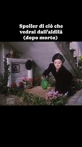 Culture Creative on Reels