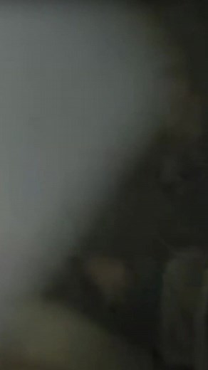 9.2K views · 762 reactions | Band of Brothers Renee Lemaire's Aid Station - the REAL Location #bandofbrothers #easycompany #docroe #eugeneroe #reneelemaire #bastogne #ww2 #wwii | History In Your Hand | Facebook