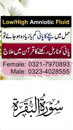 Surah For Low/High Amniotic Fluid In Pregnancy | Hamal Me Bache Ka Pani Kam Ya Zyada Hona