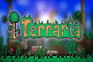 Terraria PS4 PKG