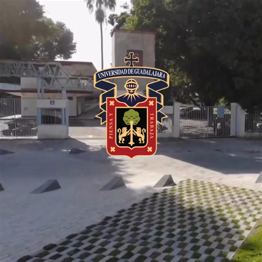 Tecnólogo Químico en Análisis y Procesos de Alimentos ·Genera proyectos de emprendimiento y valor agregado. ·Opera procesos de la industria alimentaria cumpliendo con la normatividad aplicable. ·Realiza análisis físico-químicos, microbiológicos y organolépticos en materia prima, producto en proceso y producto alimenticio terminado. ·Coordina actividades en las áreas de personal, producción, control de calidad, sanitización de instalaciones y equipos en la industria alimentaria. | Escuela Politéc