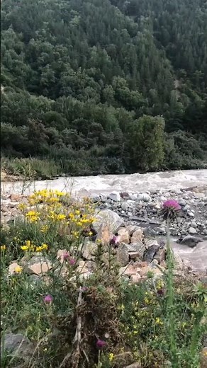 Journey Through Russia's Mountains | Travel Video Highlights | Россия 🌿