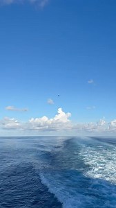 Flight Deck #navy #flynavy #deploymentlife #aircraftcarrier #usnavy #f18 #aircraft #fighterjet_0031 | Reilly Hess