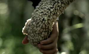 ‘Channel Zero’ Trailer: Syfy’s Creepypasta Anthology Series Reveals a Seriously Creepy Tooth Fairy