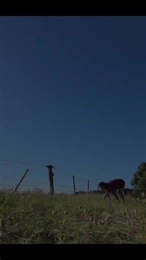 Niños y sus sueños en Pijamas: Un vistazo a Miraculus