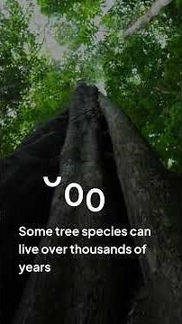 Fascinating Facts About Trees. #facts #nature #tree