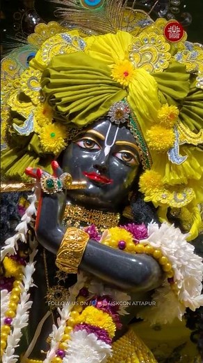 🌸Today’s Special Darshan 30 July 2026🌸Sri Sri Radha Madhava Mandir ISKCON Attapur #iskcon #darshan