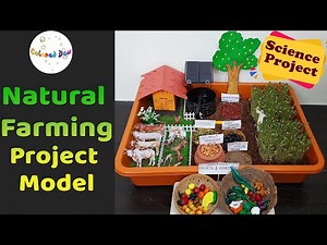 Natural Farming Project Model | Agriculture model | Organic farming Model