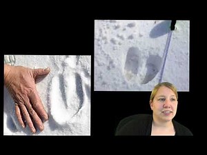 Brian’s Winter: Chapter 9