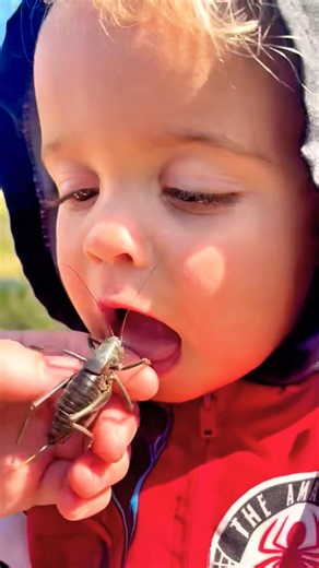 Zuko Almost EATS A GIANT CRICKET 🦗