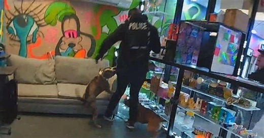 Video shows dogs attacking police during search inside Massachusetts store