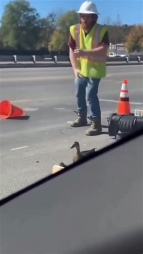 Worker Has a Full-Blown Meltdown Over Ducks in Wet Concrete! 🤣 (AI) | Crafty School