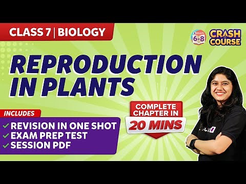 Complete Reproduction in Plants Chapter Under 20 Mins Class 7 Biology | Crash Course | BYJU'S
