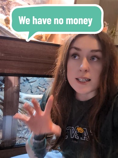 No Savings When You Keep Reptiles