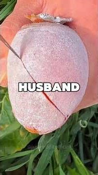 The “Work Wife” Crossed a Line — My Response Ended It